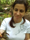 PhD S. Mihaela C Ion