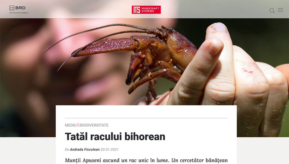 Mindcraft Stories article — A crayfish father